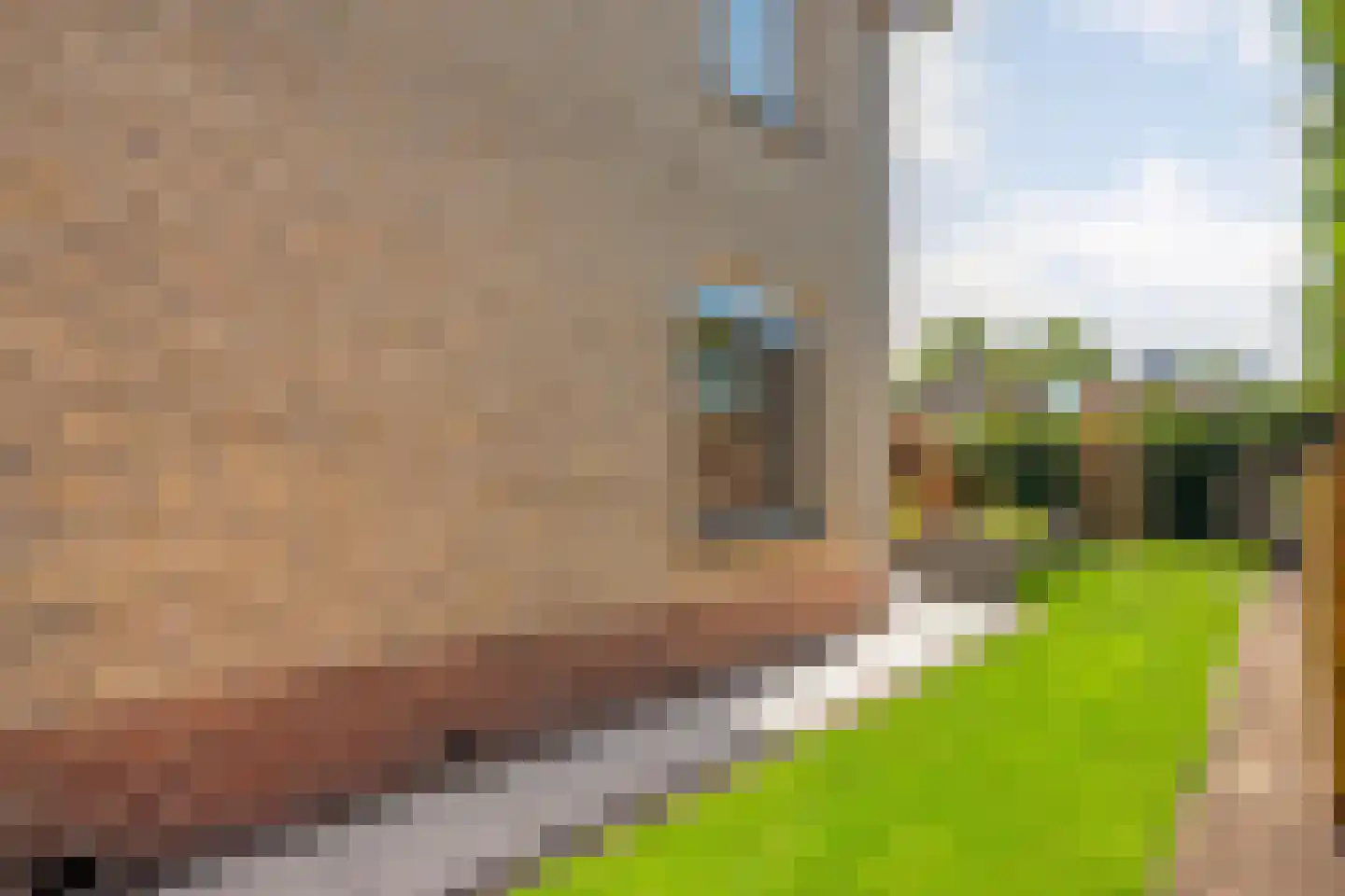Langewijk 33 Dedemsvaart thumbnail 47