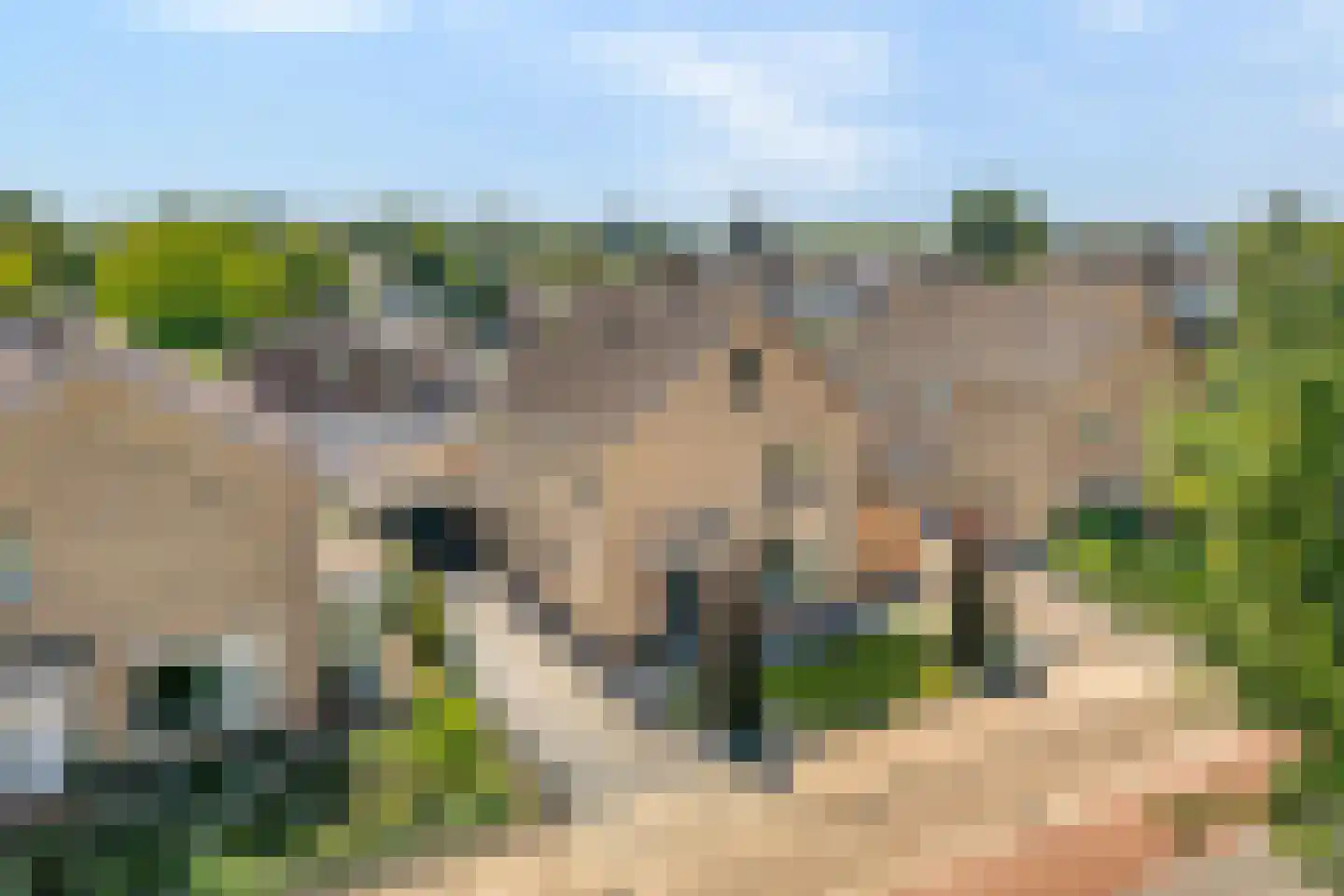 Langewijk 33 Dedemsvaart thumbnail 56