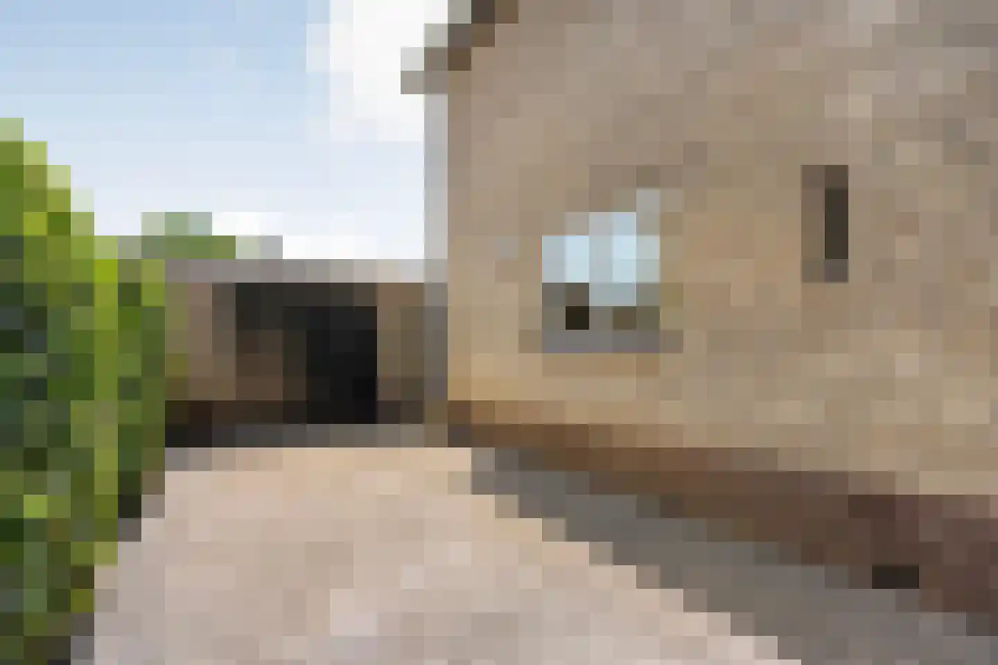 Langewijk 33 Dedemsvaart thumbnail 9