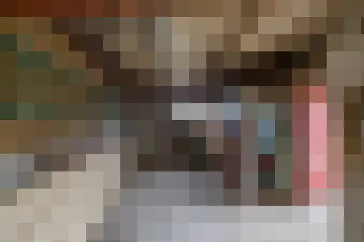 Langewijk 35 Sappemeer thumbnail 14