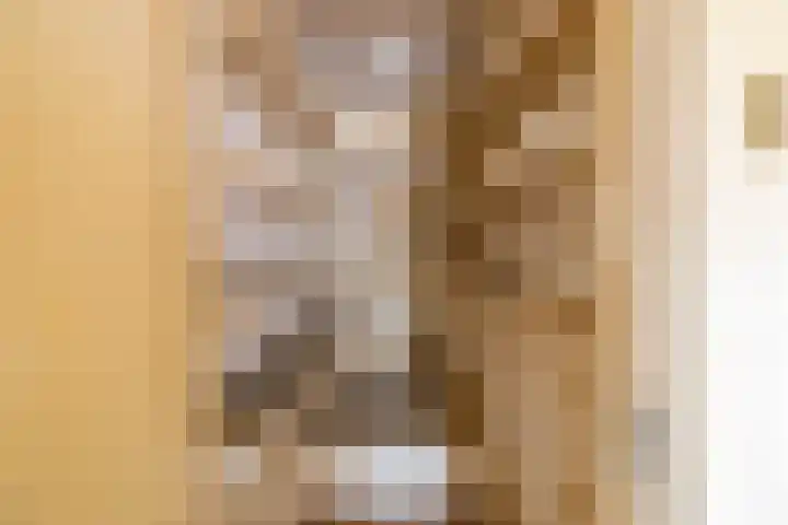 Langewijk 35 Sappemeer thumbnail 21