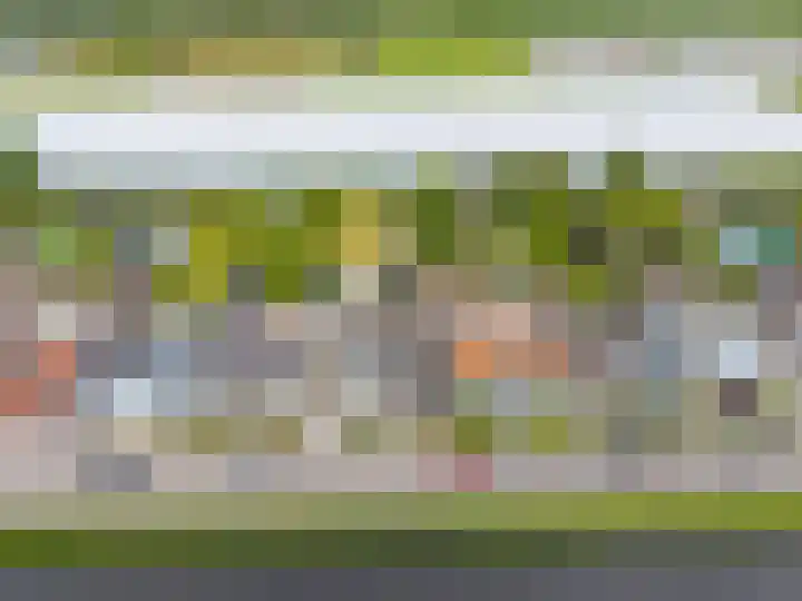 Langewijk 35 Sappemeer thumbnail 38