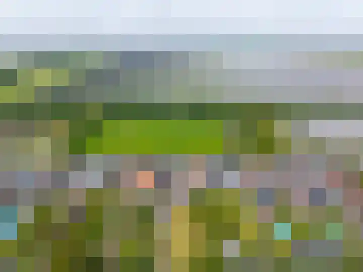 Langewijk 35 Sappemeer thumbnail 40