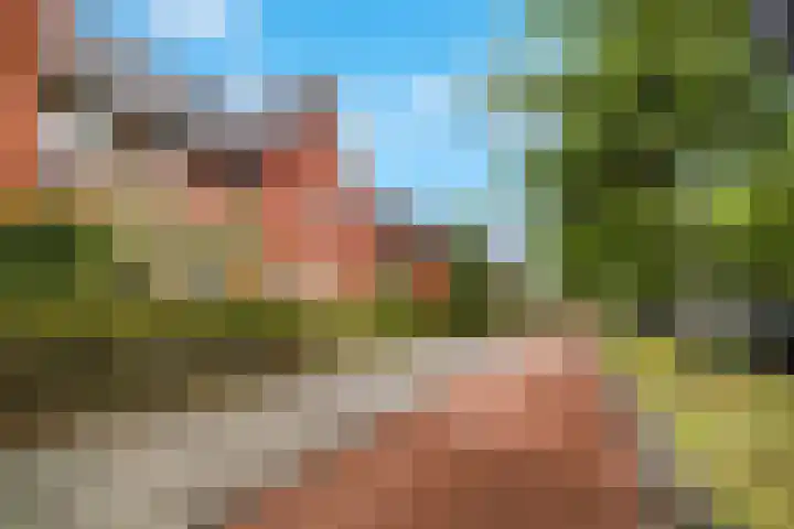 Langewijk 35 Sappemeer thumbnail 42
