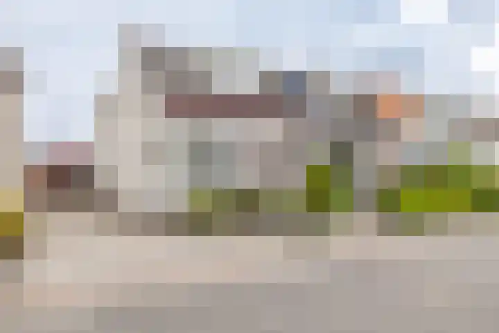 Langewijk 35 Sappemeer thumbnail 45