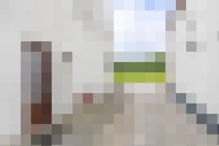 Langewijk 35 Sappemeer thumbnail 8
