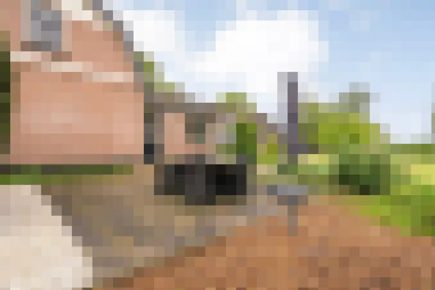 Langewijk 384 Dedemsvaart thumbnail 44