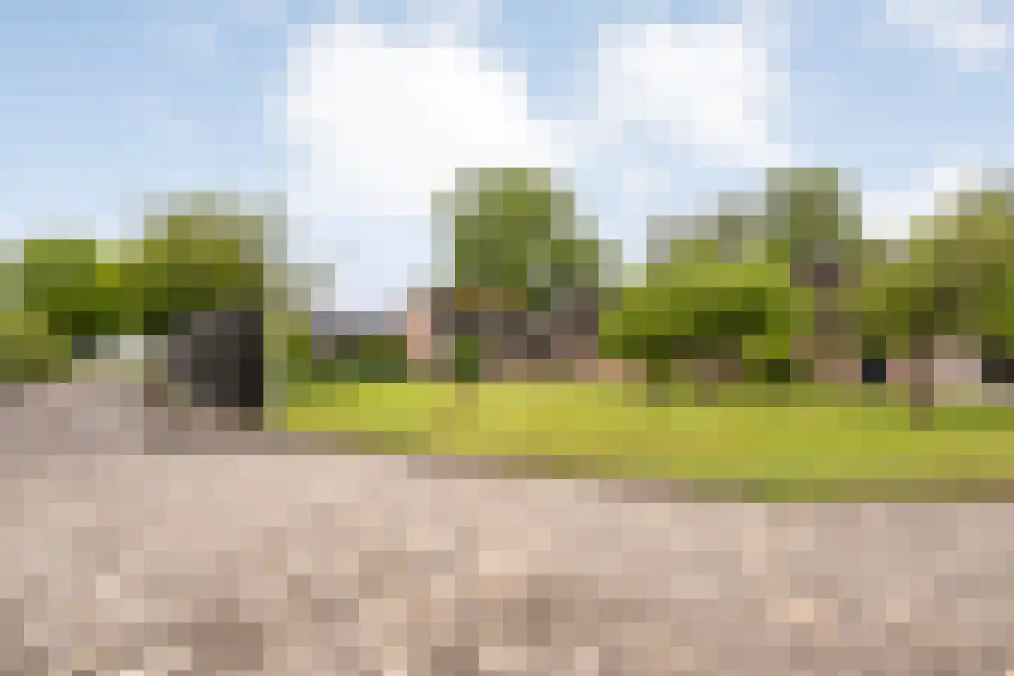 Langewijk 384 Dedemsvaart thumbnail 47