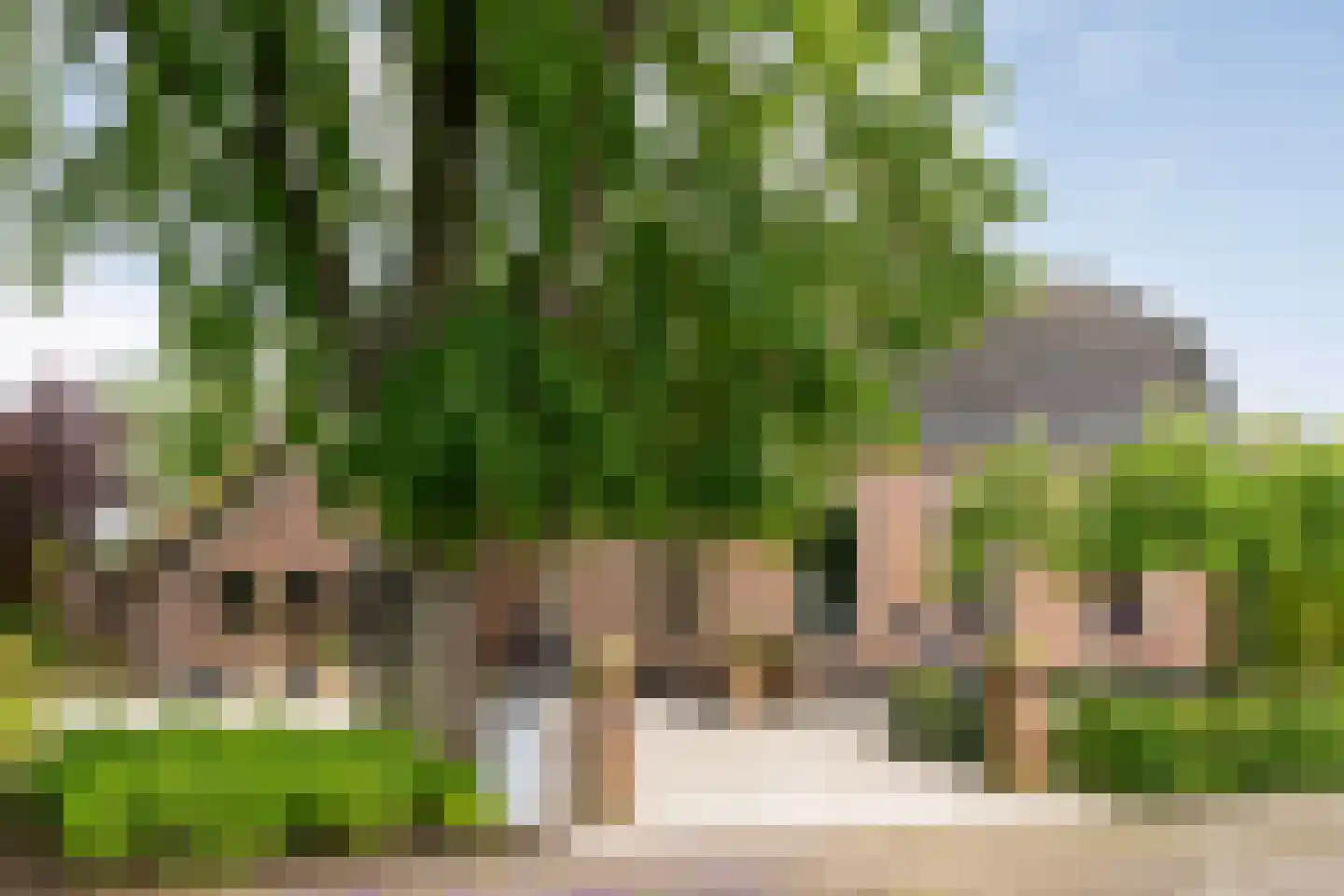 Langewijk 384 Dedemsvaart thumbnail 5