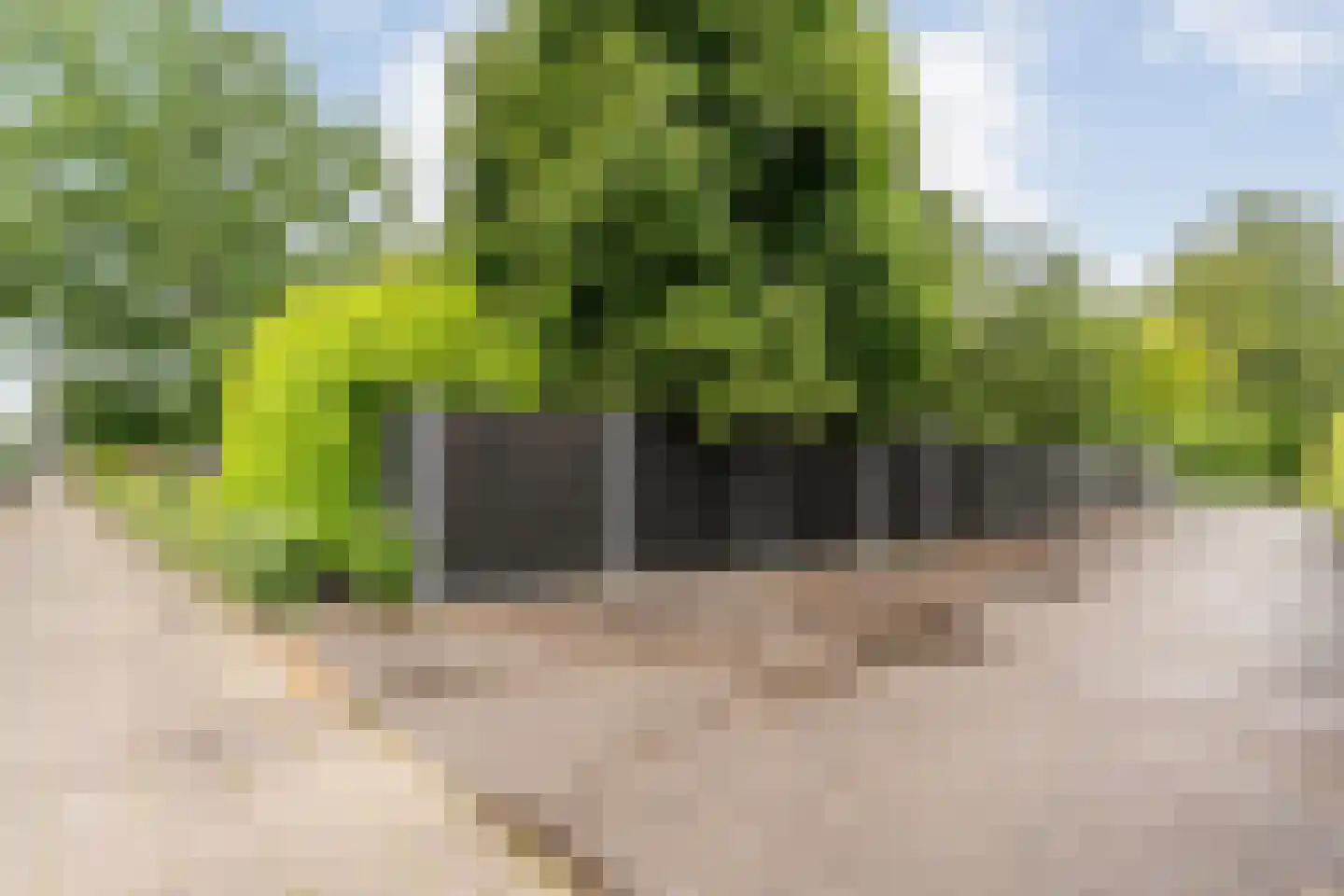 Langewijk 384 Dedemsvaart thumbnail 52