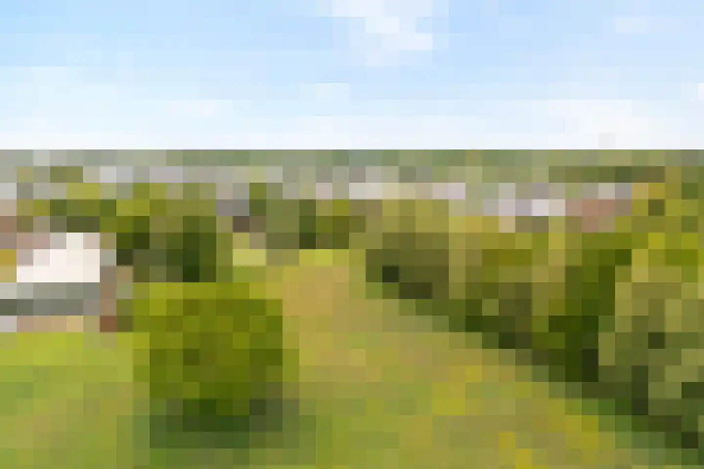 Langewijk 384 Dedemsvaart thumbnail 53
