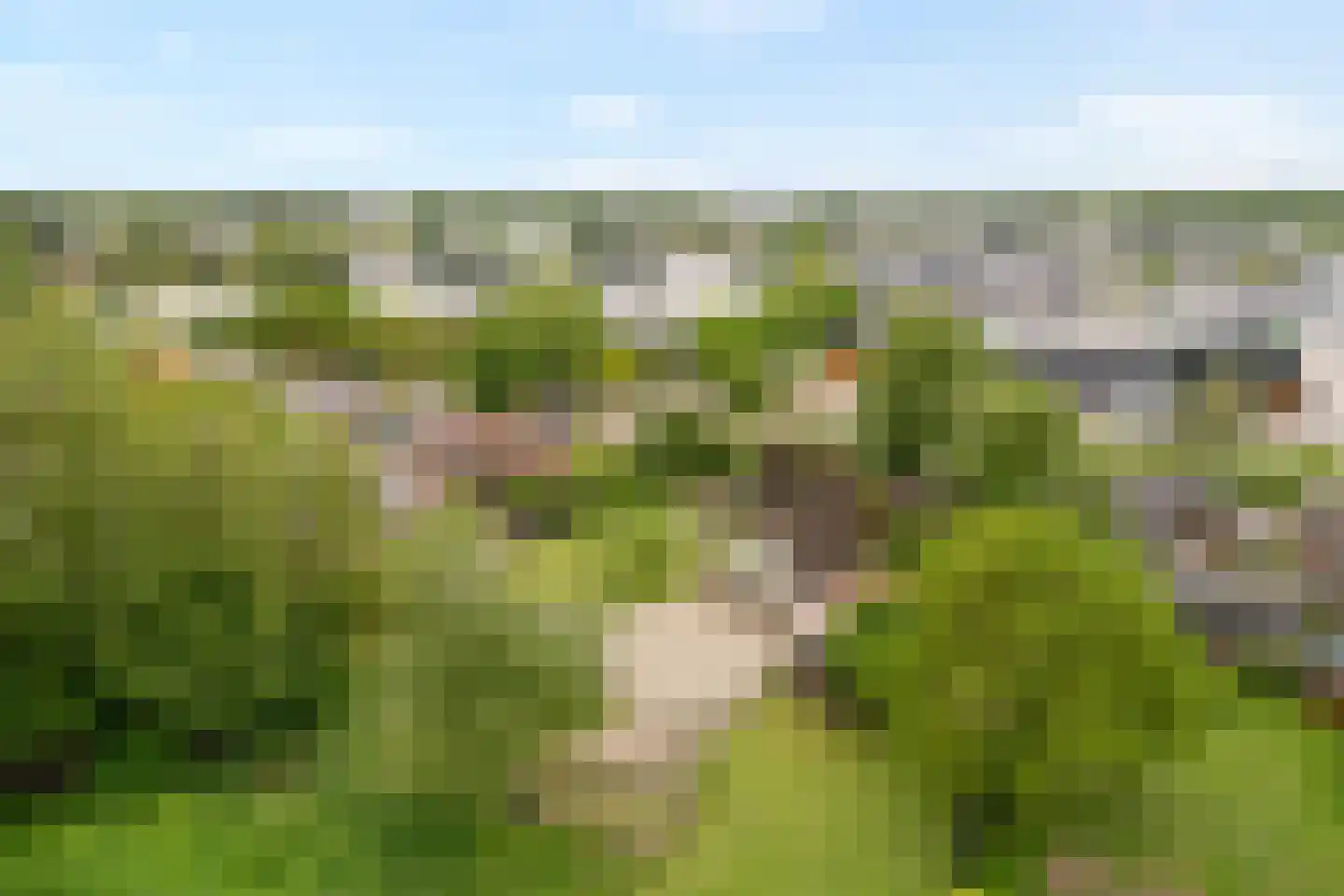 Langewijk 384 Dedemsvaart thumbnail 54