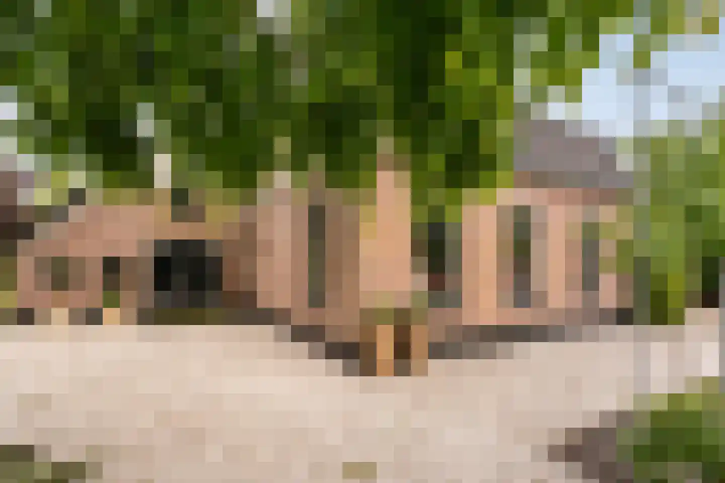 Langewijk 384 Dedemsvaart thumbnail 7