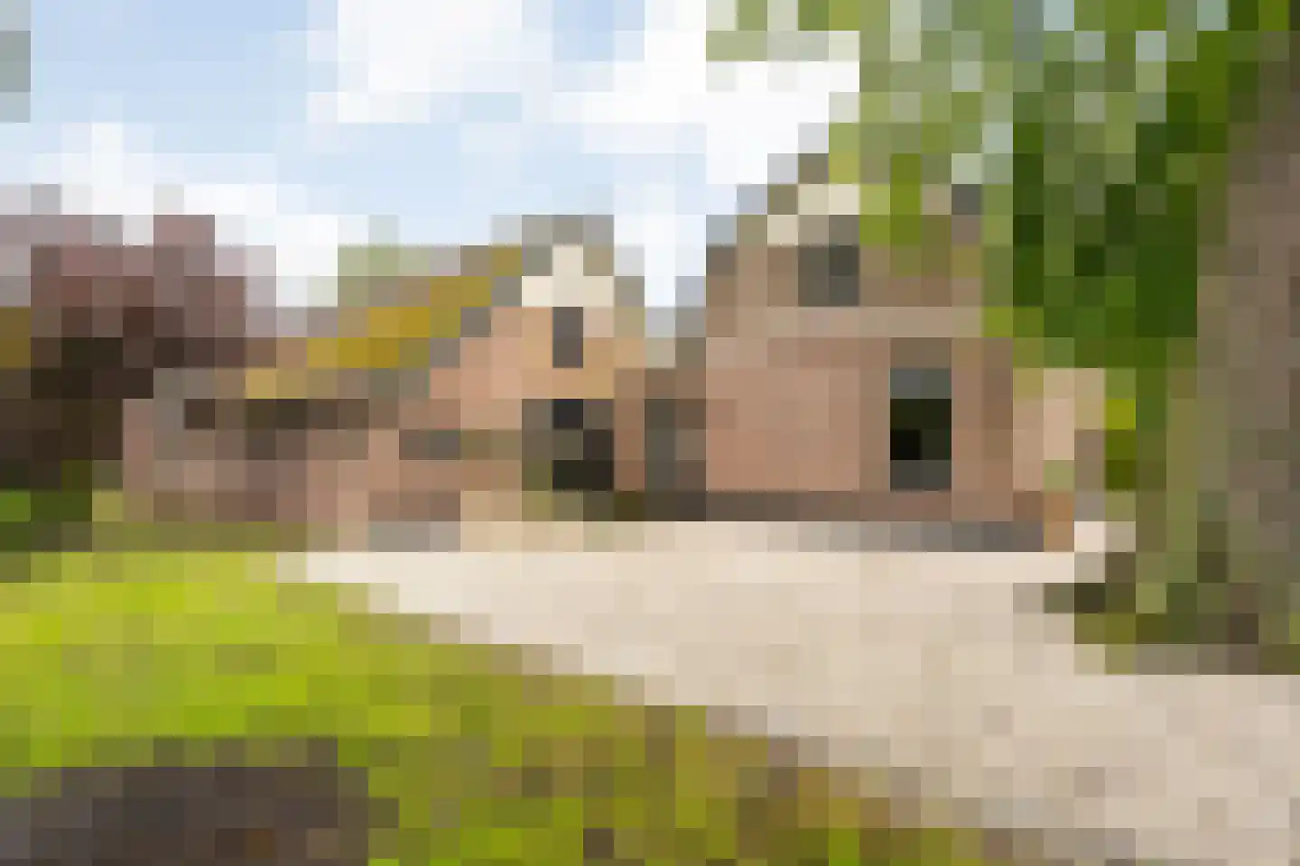Langewijk 384 Dedemsvaart thumbnail 8
