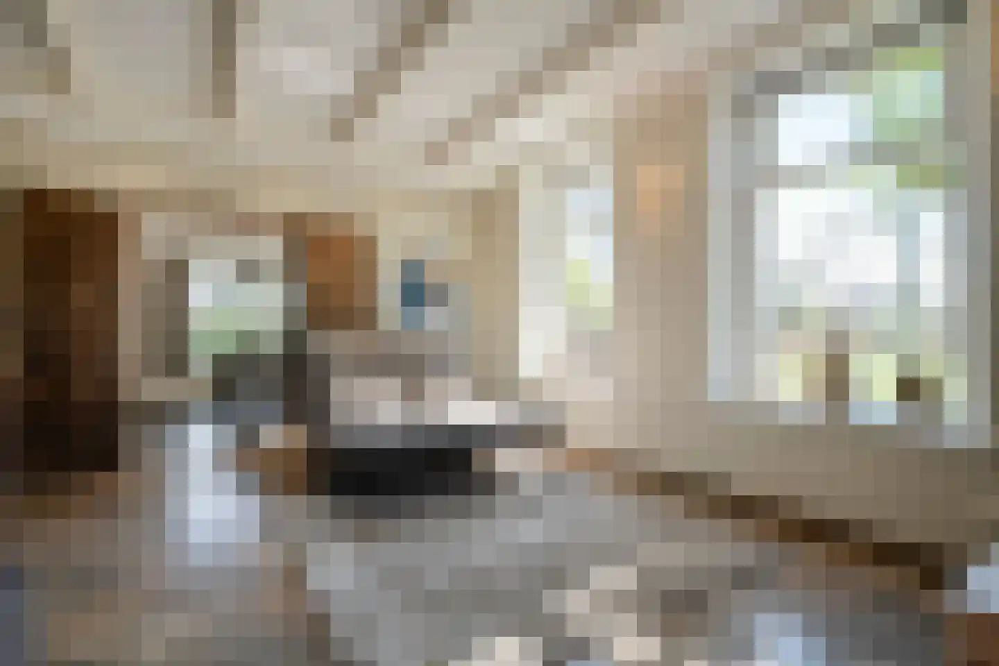 Langewijk 422 Dedemsvaart thumbnail 15