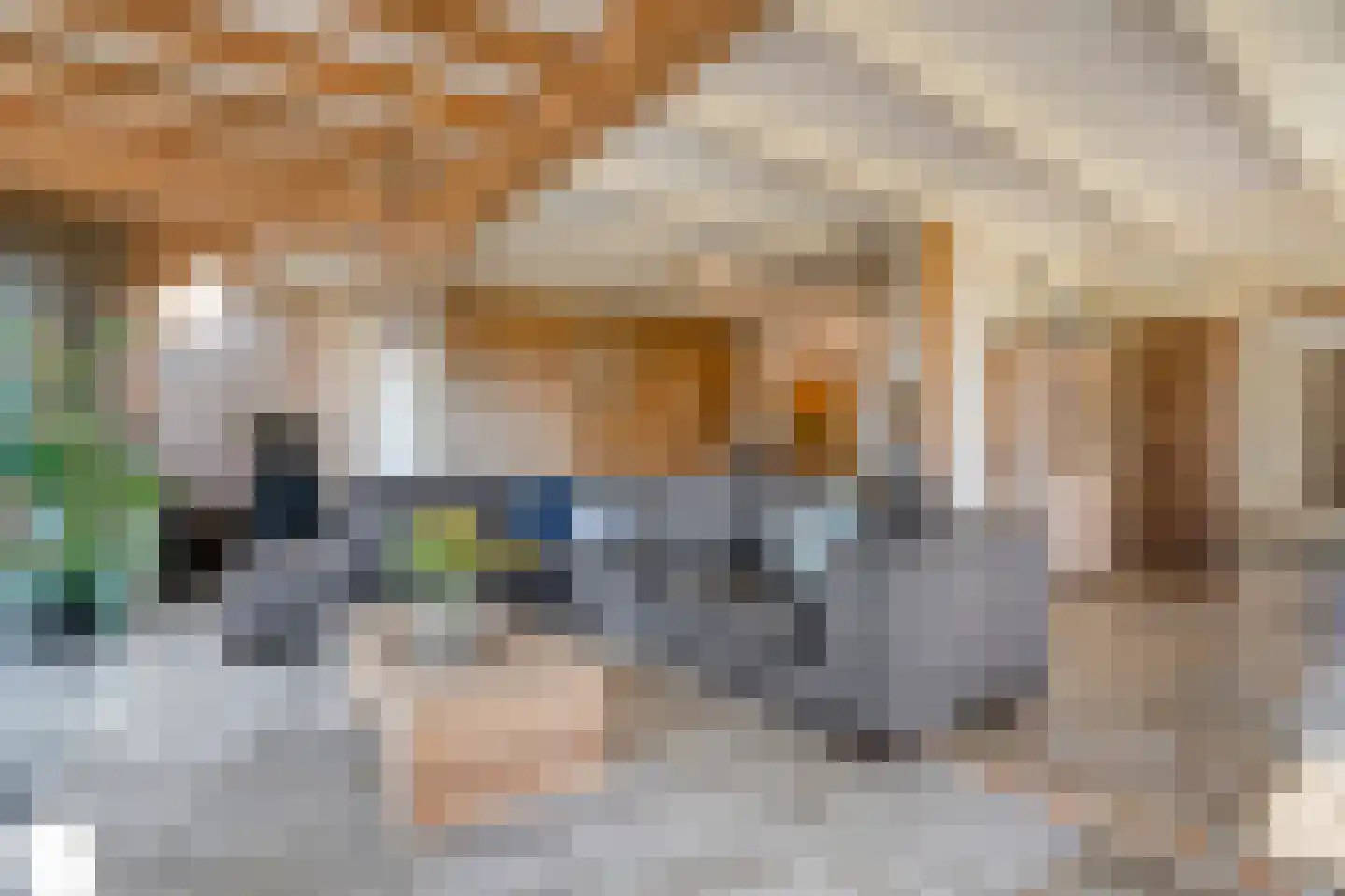 Langewijk 422 Dedemsvaart thumbnail 16