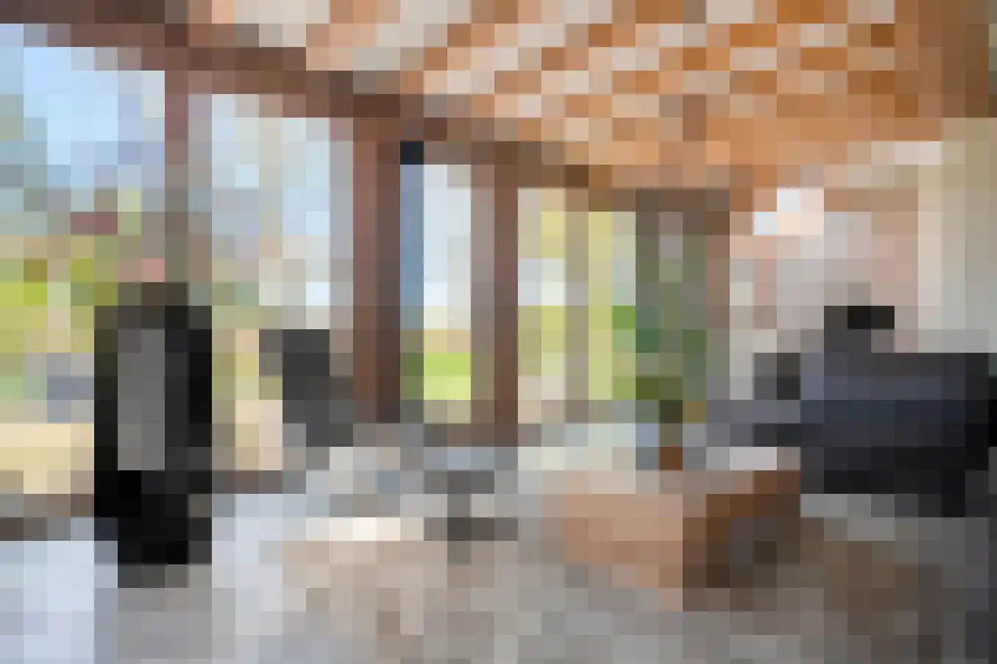 Langewijk 422 Dedemsvaart thumbnail 17