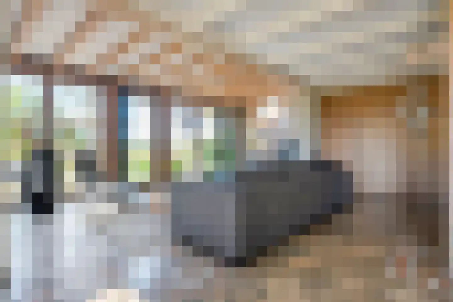 Langewijk 422 Dedemsvaart thumbnail 18