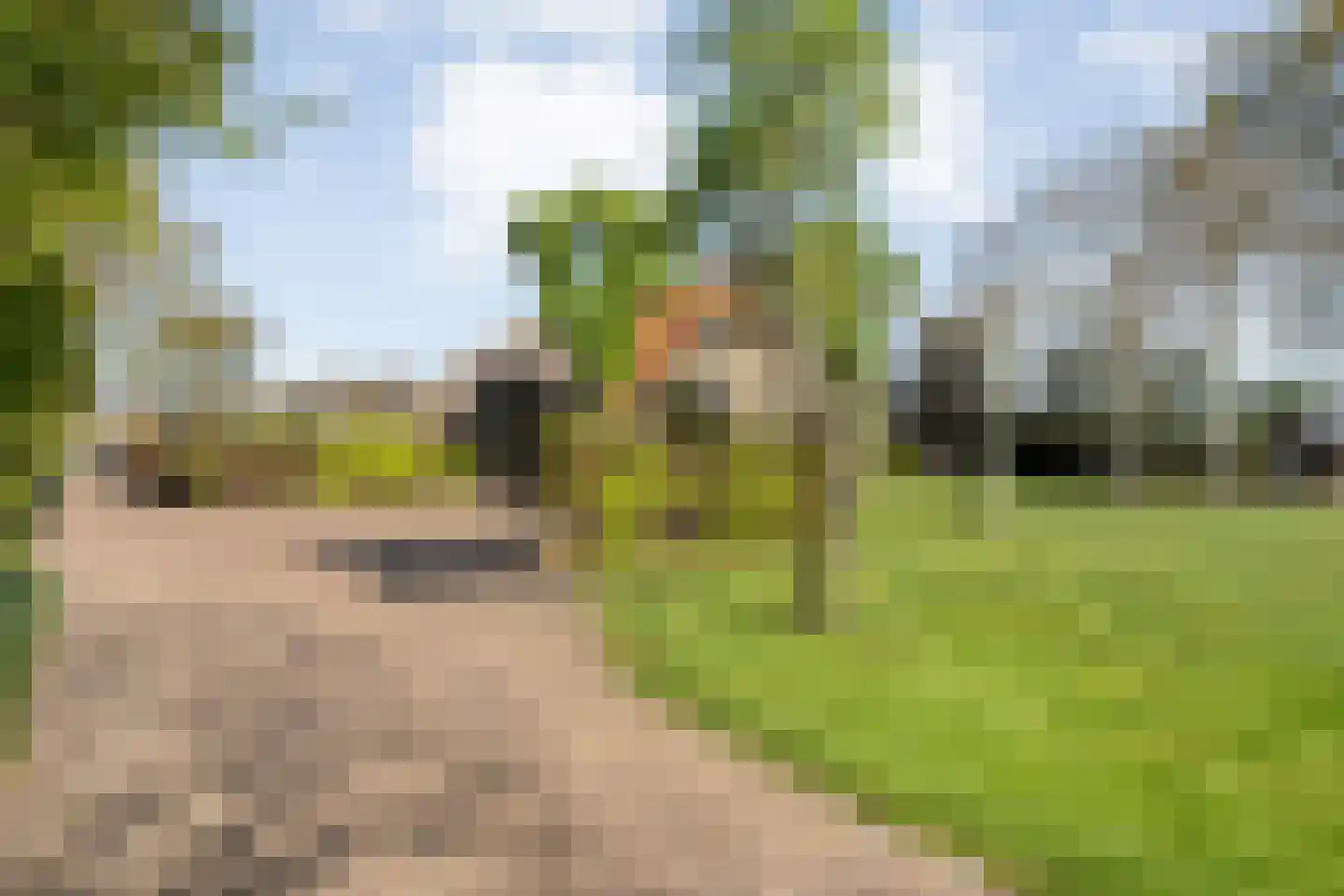 Langewijk 422 Dedemsvaart foto 2