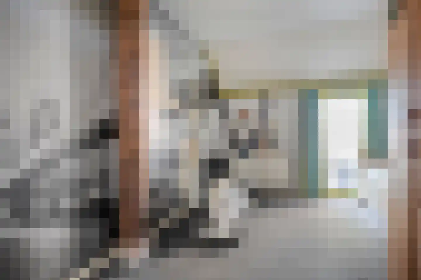 Langewijk 422 Dedemsvaart thumbnail 36