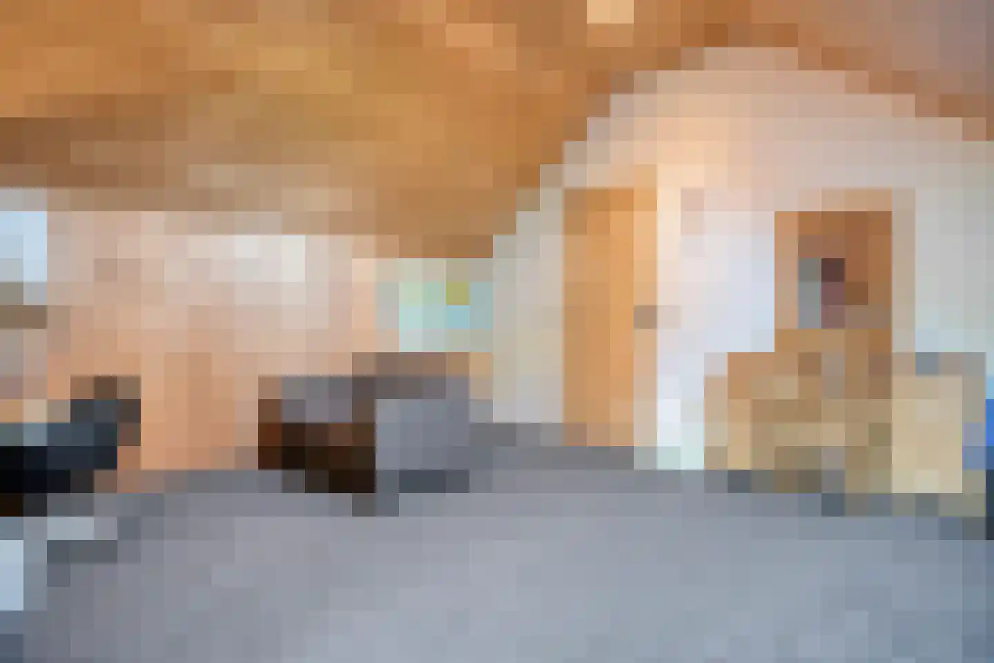 Langewijk 422 Dedemsvaart thumbnail 42