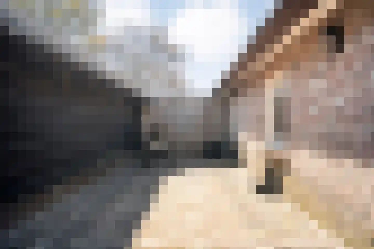 Langewijk 422 Dedemsvaart thumbnail 47