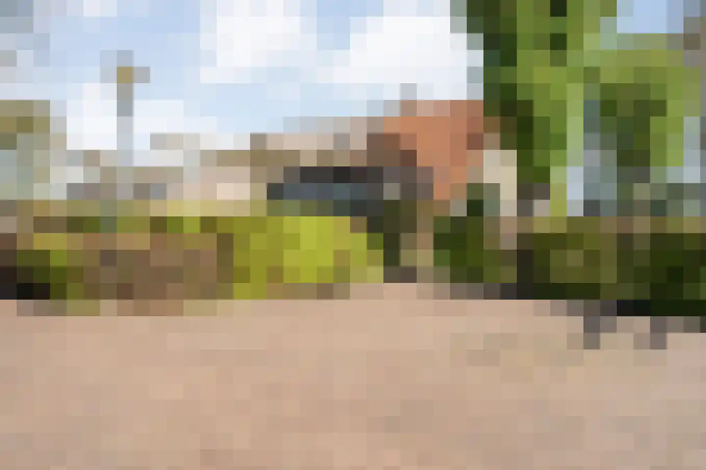 Langewijk 422 Dedemsvaart thumbnail 5