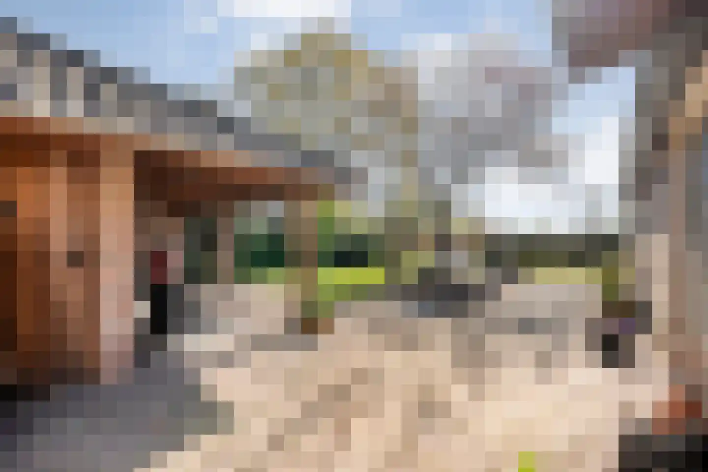 Langewijk 422 Dedemsvaart thumbnail 51