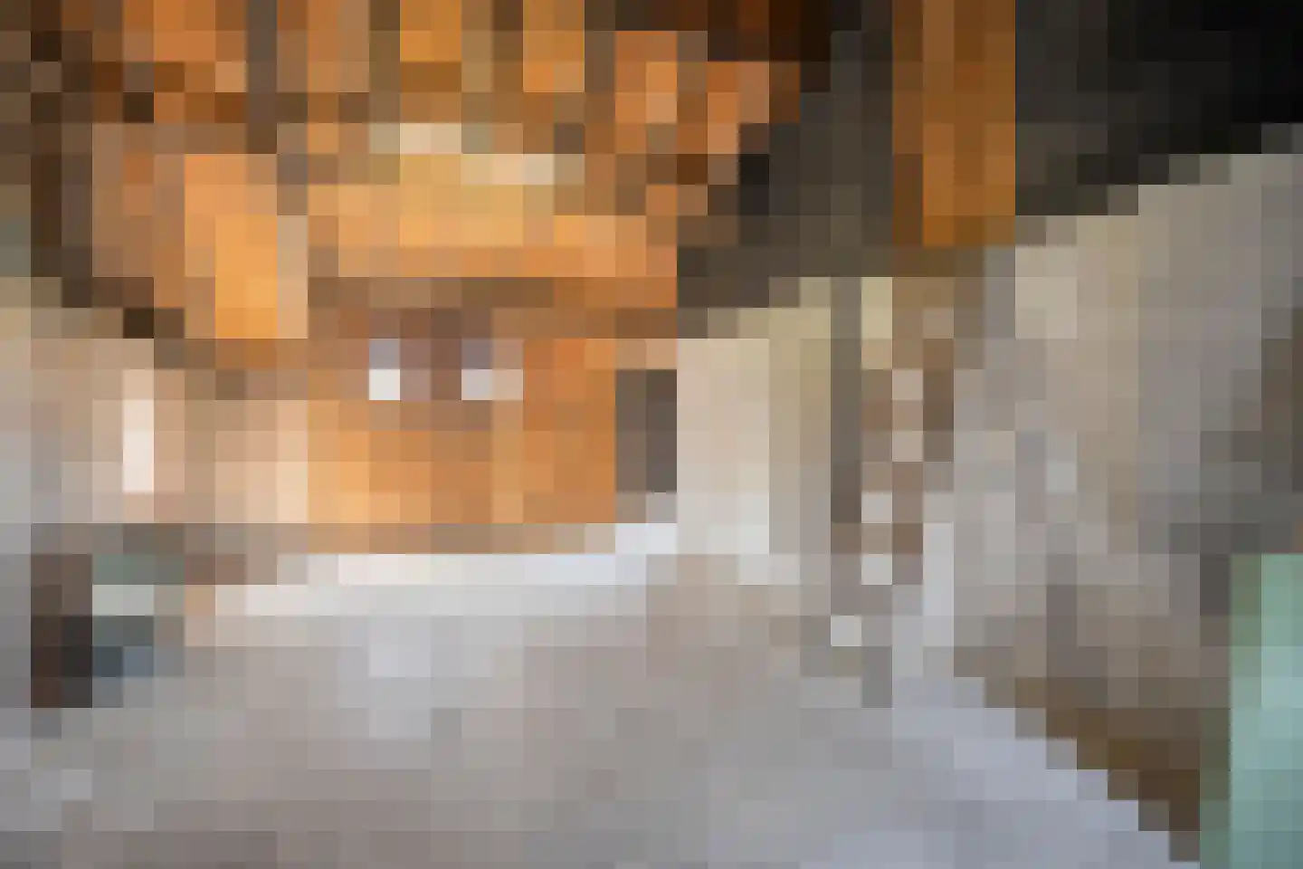 Langewijk 422 Dedemsvaart thumbnail 60