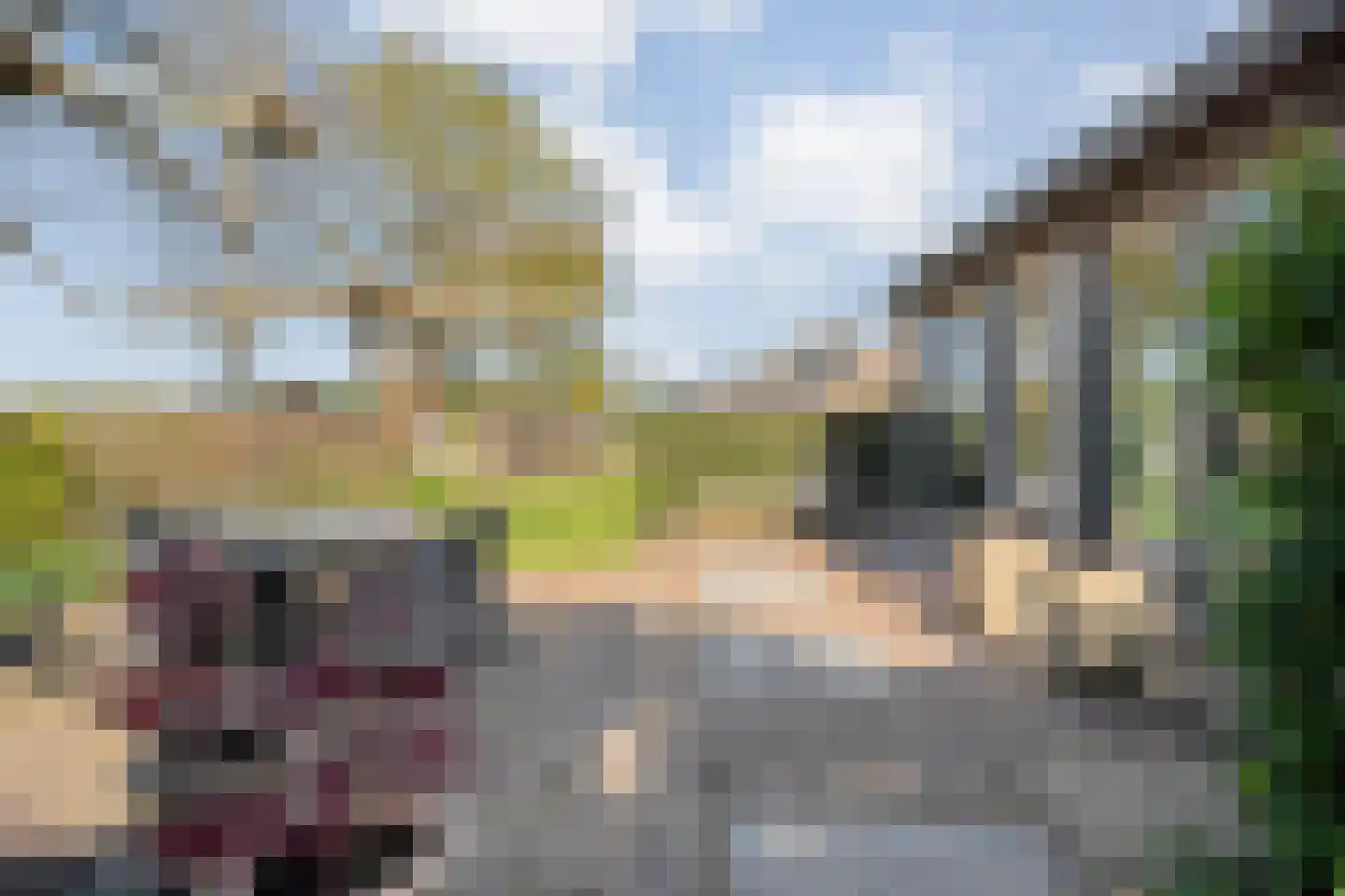 Langewijk 422 Dedemsvaart thumbnail 65