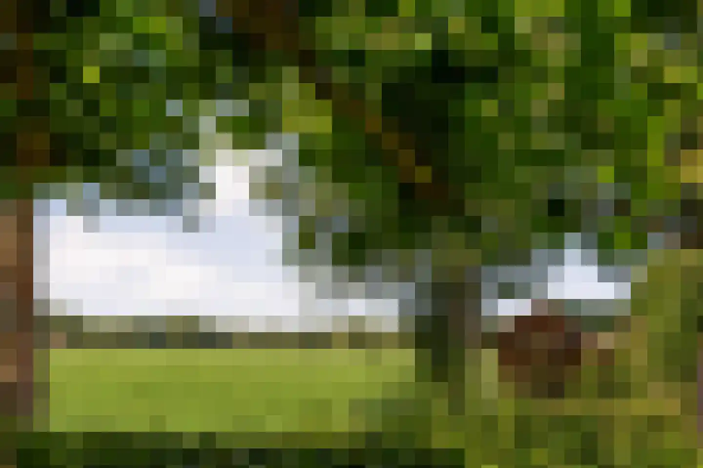 Langewijk 422 Dedemsvaart thumbnail 69