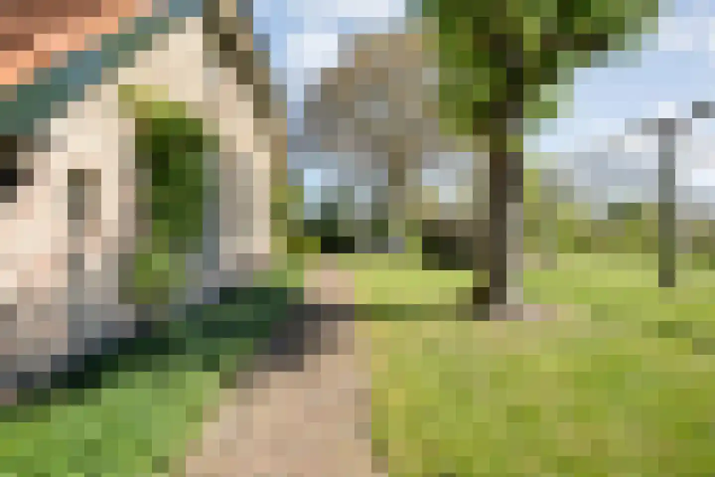 Langewijk 422 Dedemsvaart thumbnail 71