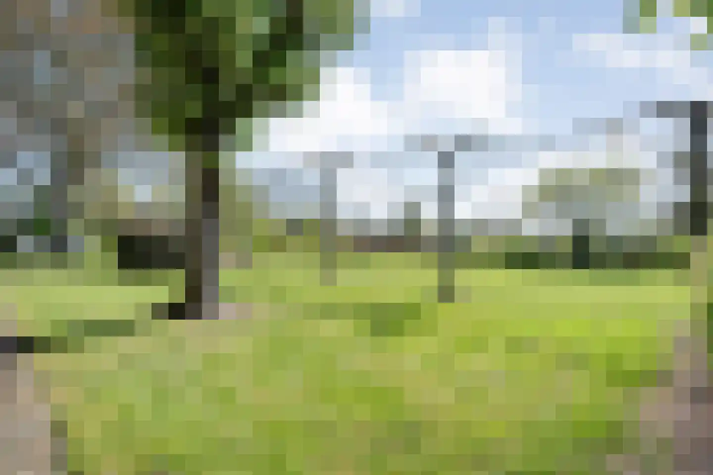Langewijk 422 Dedemsvaart thumbnail 72
