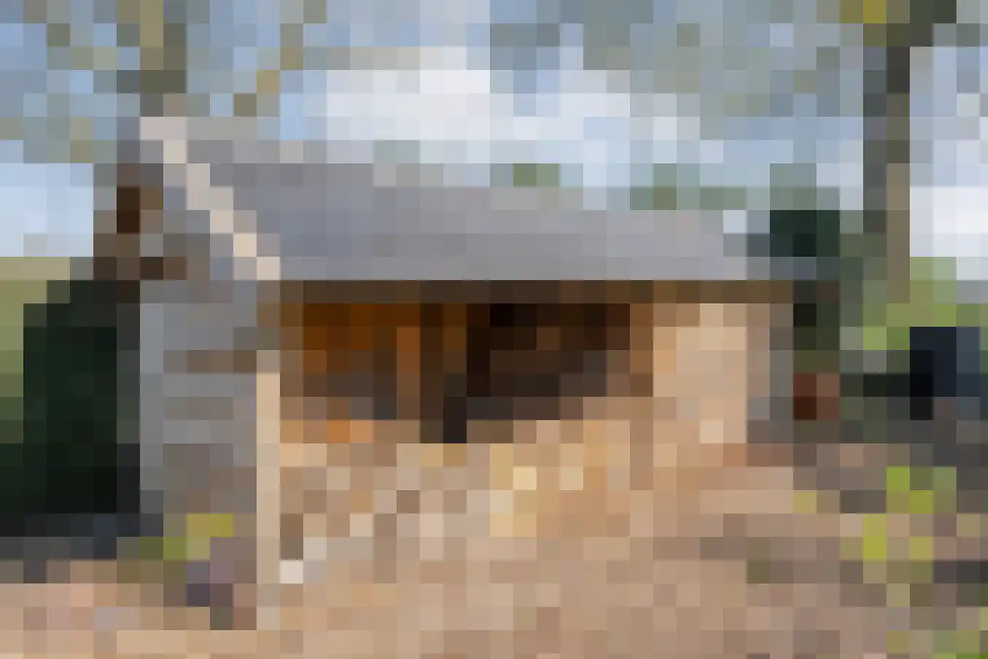 Langewijk 422 Dedemsvaart thumbnail 75