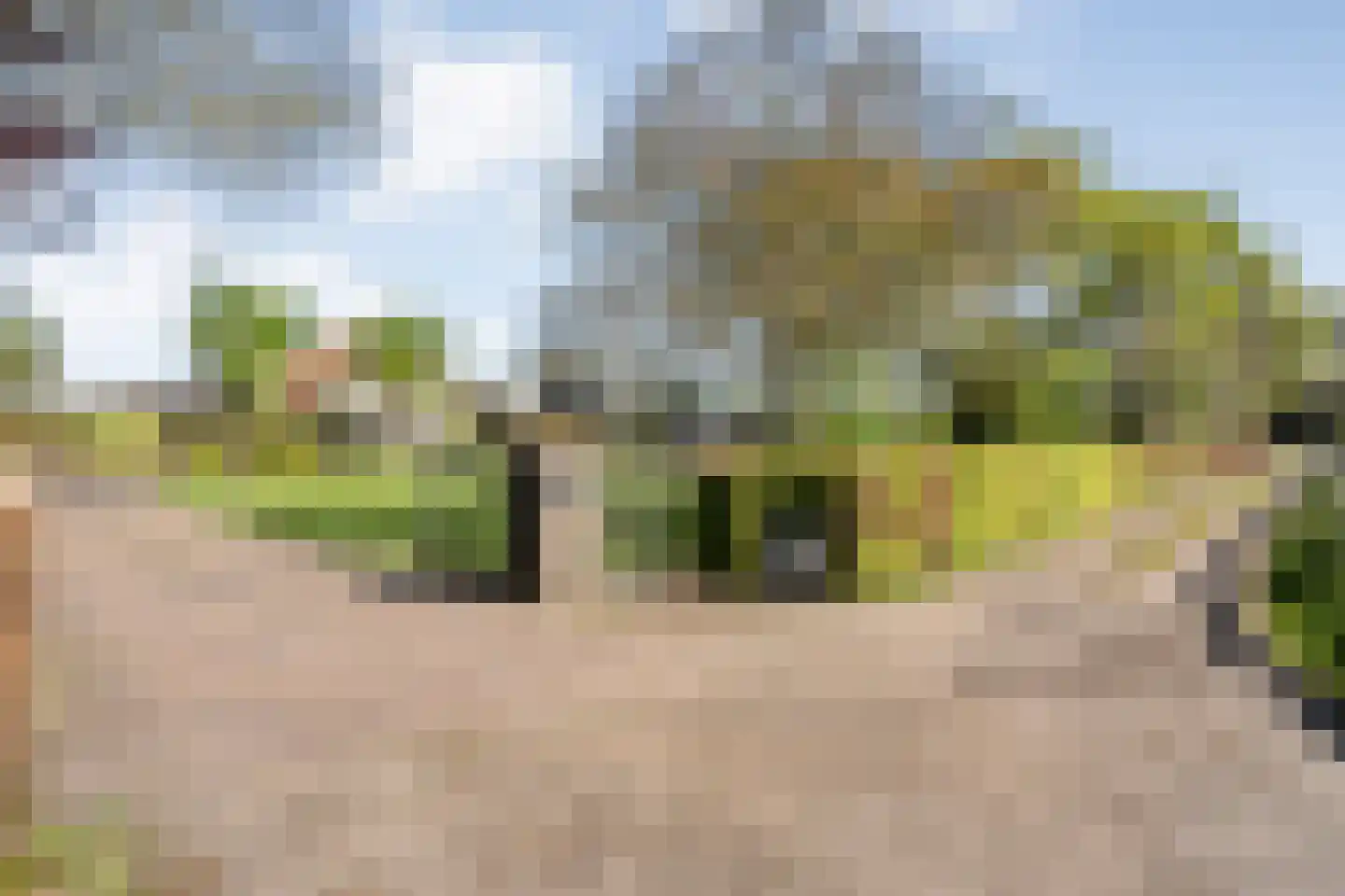 Langewijk 422 Dedemsvaart thumbnail 76
