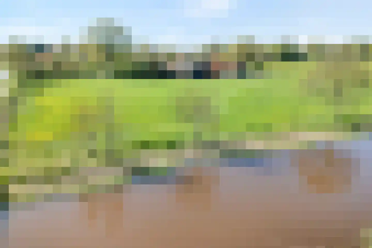 Langewijk 422 Dedemsvaart thumbnail 79