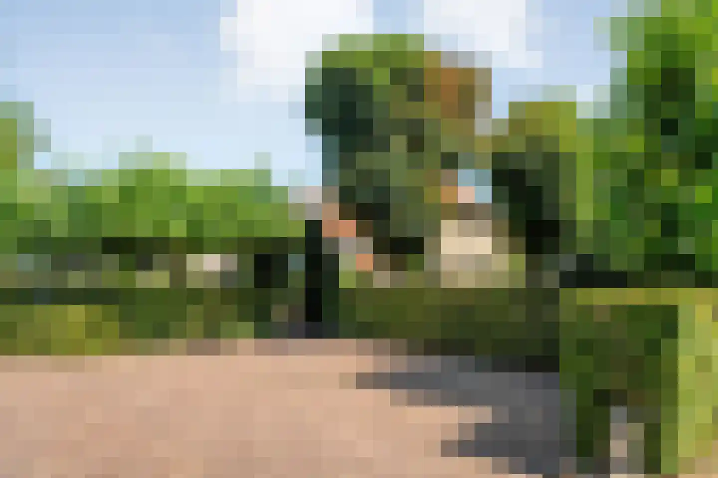 Langewijk 422 Dedemsvaart thumbnail 83