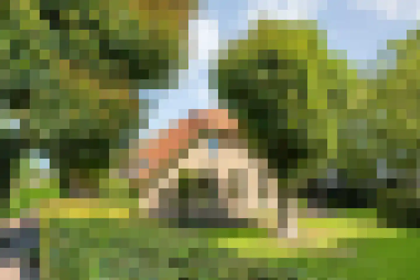 Langewijk 422 Dedemsvaart thumbnail 85