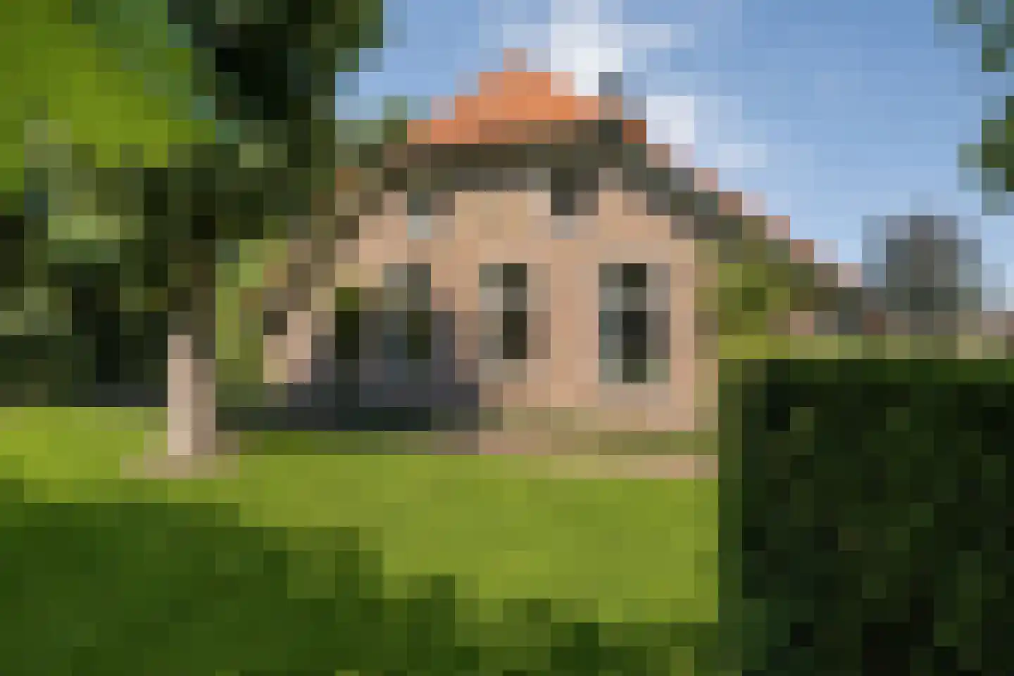 Langewijk 422 Dedemsvaart thumbnail 86