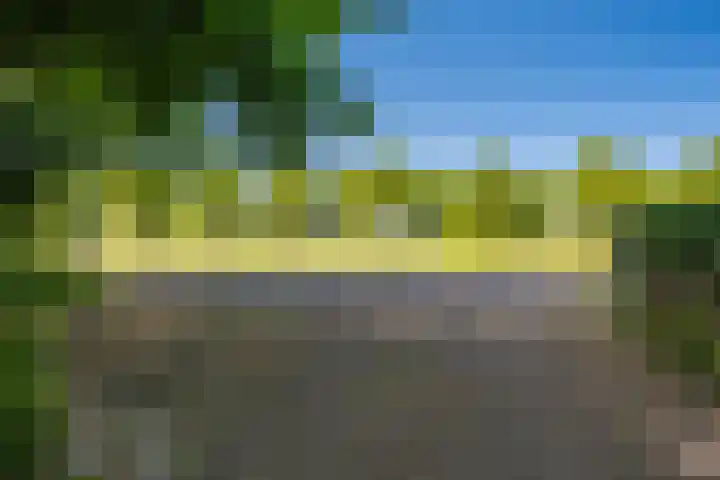 Langewijk 6 Froombosch thumbnail 13