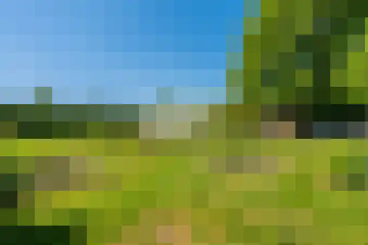 Langewijk 6 Froombosch thumbnail 4