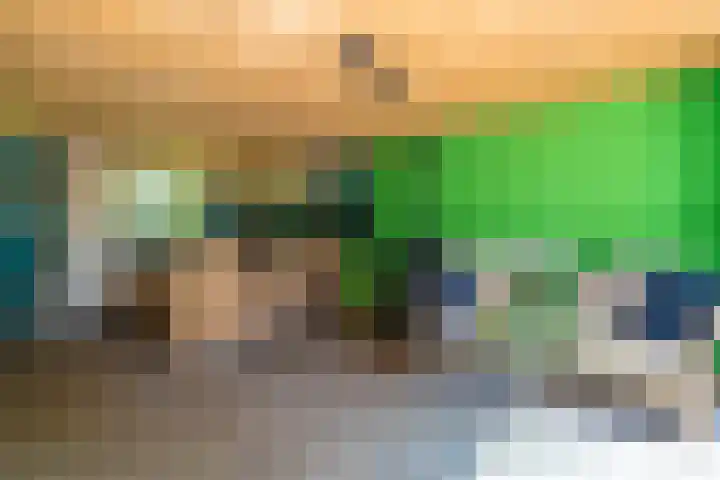 Langewijk 6 Froombosch thumbnail 56