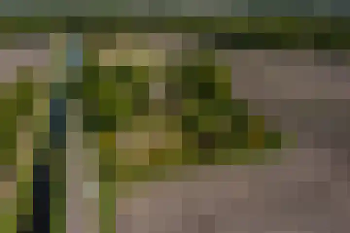 Langewijk 6 Froombosch thumbnail 6