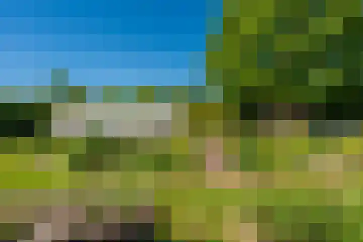 Langewijk 6 Froombosch thumbnail 64