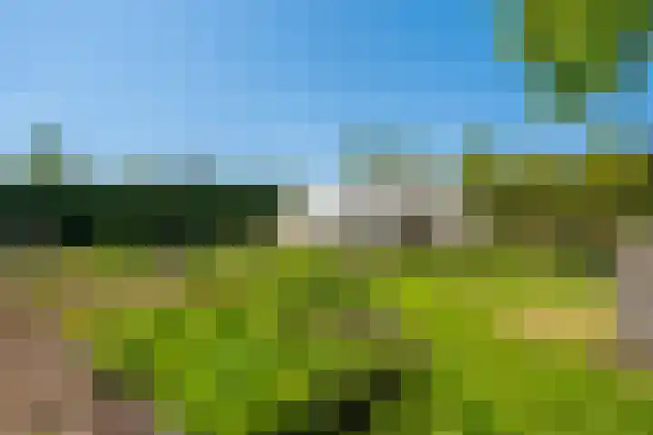 Langewijk 6 Froombosch thumbnail 66