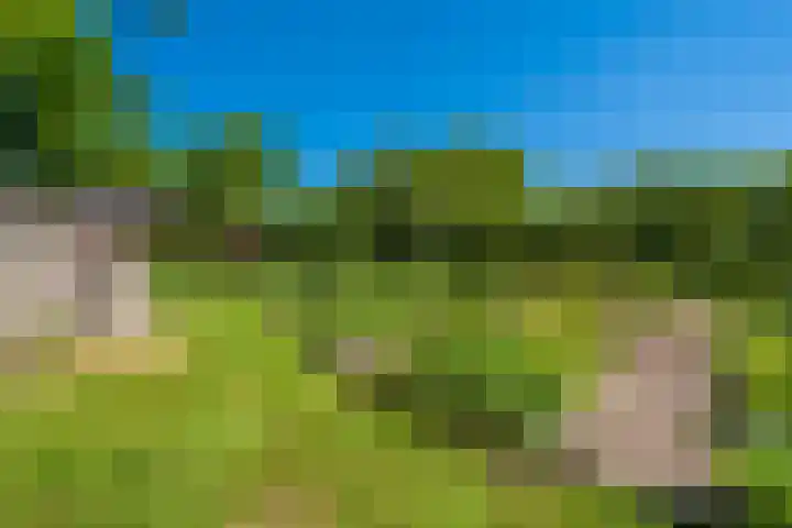 Langewijk 6 Froombosch thumbnail 67