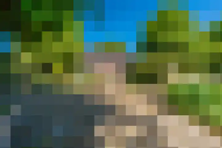 Langewijk 6 Froombosch thumbnail 68