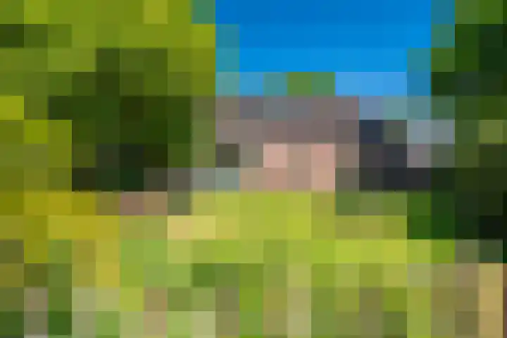 Langewijk 6 Froombosch thumbnail 69