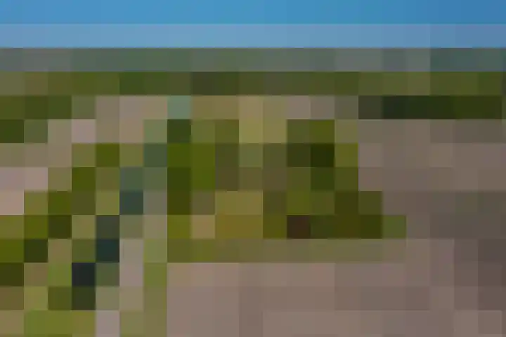 Langewijk 6 Froombosch thumbnail 7
