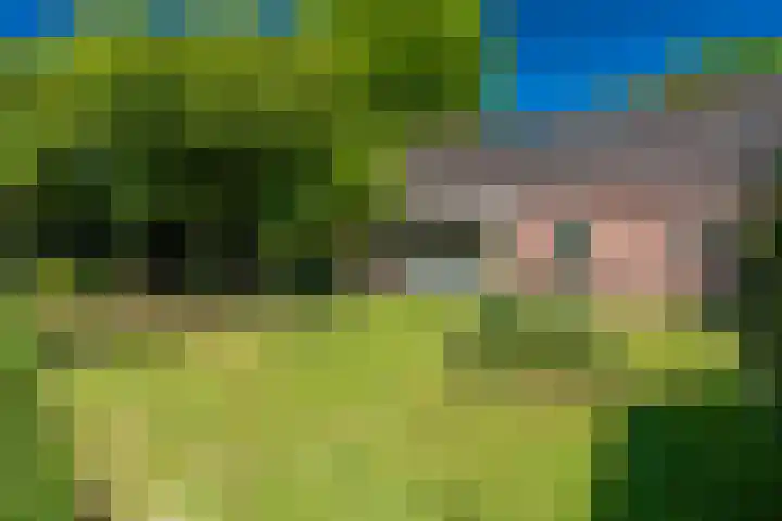 Langewijk 6 Froombosch thumbnail 70
